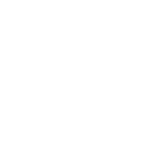 Terminal.IO